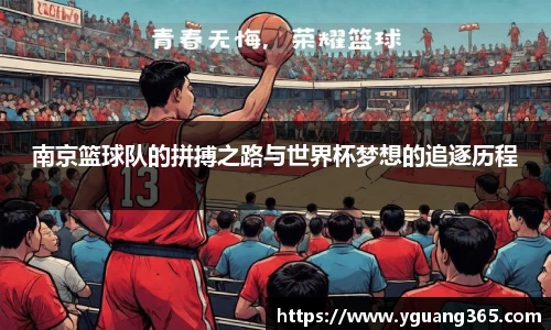 南京篮球队的拼搏之路与世界杯梦想的追逐历程